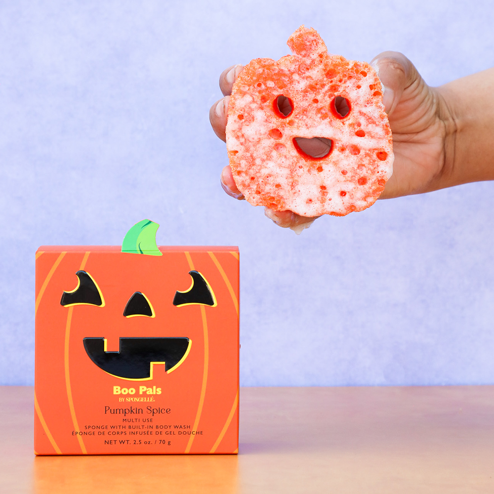 Pumpkin Spice Pumpkin Soap Sponge