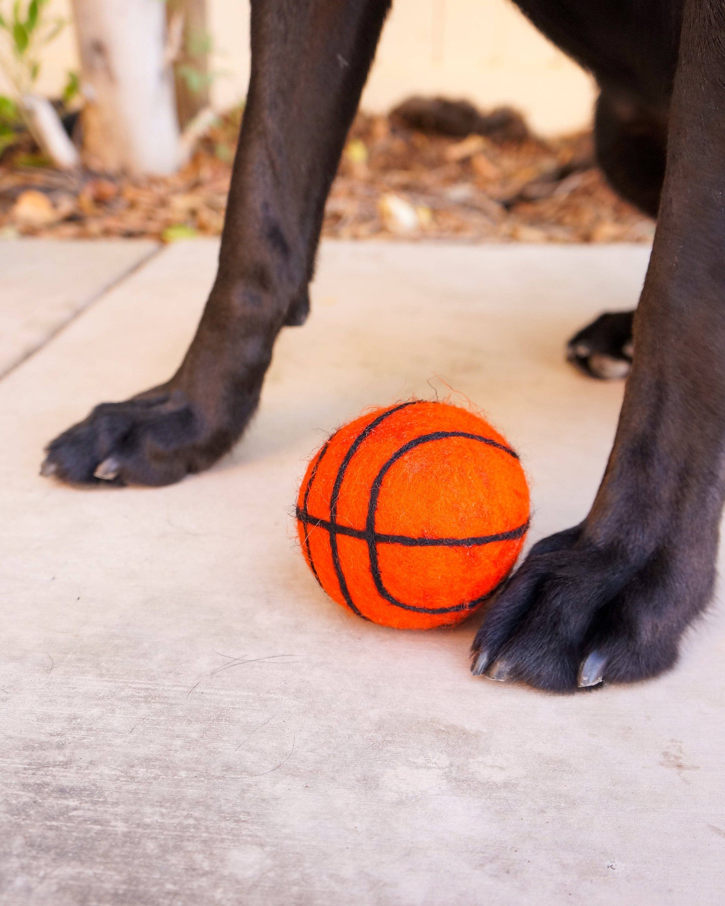 Dog Pet Toy XL Sport Ball - BASKETBALL FOOTBALL SOCCER