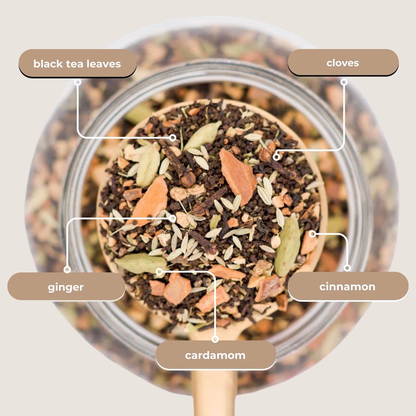 Bombay Masala Chai Black Tea Mini Tea Tube (5 tea bags)