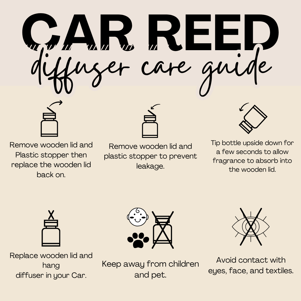 Hanging Car Diffusers | Kiwi Paradise | Made in USA