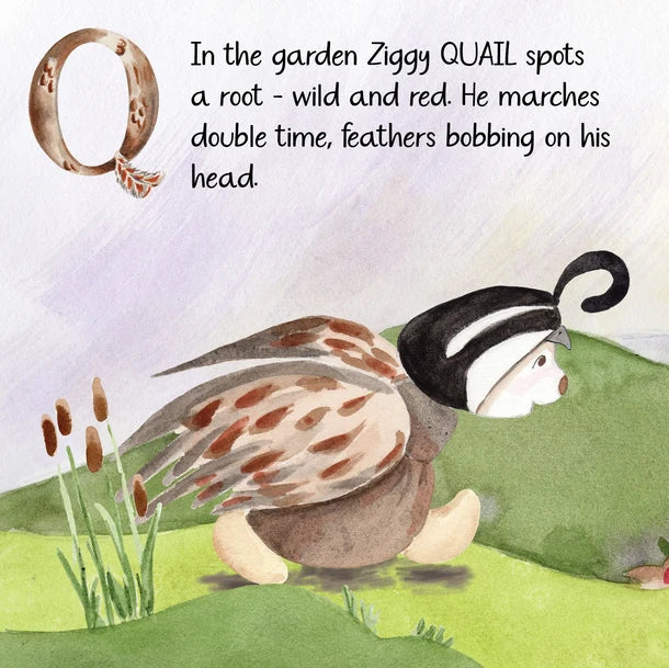 Z Is For Ziggy