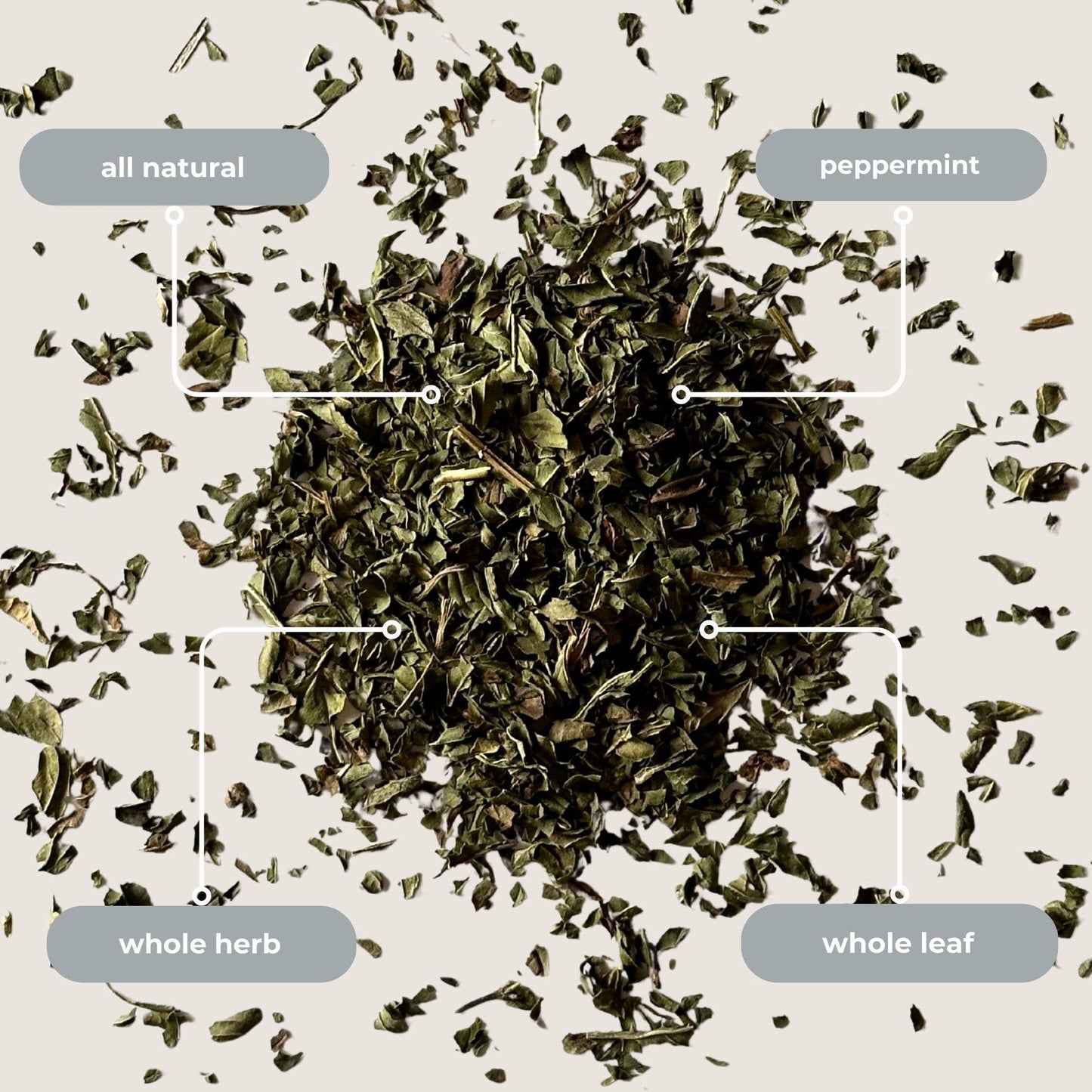 Peppermint Herbal Mini Tea Tube (5 tea bags)