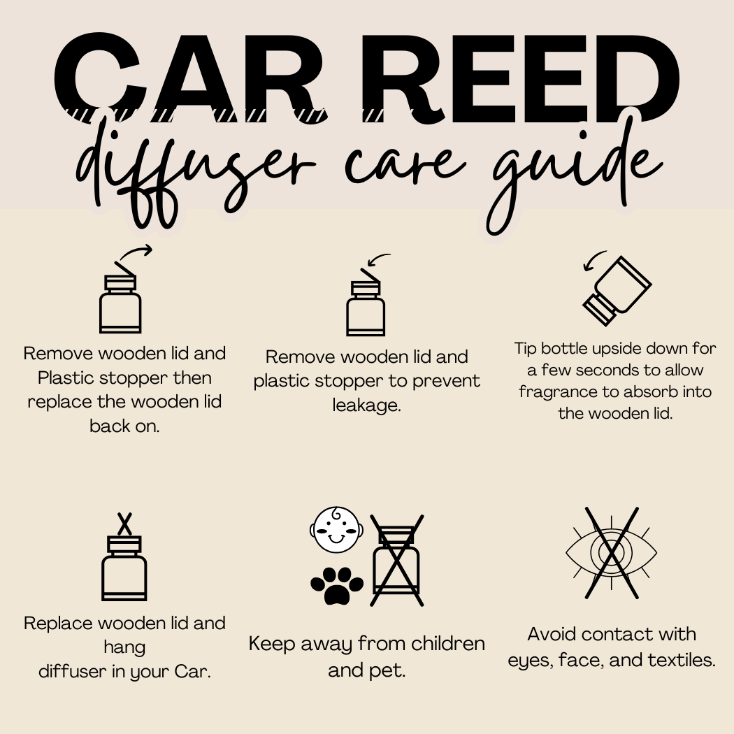 Hanging Car Diffusers | Obsidian | Made in USA