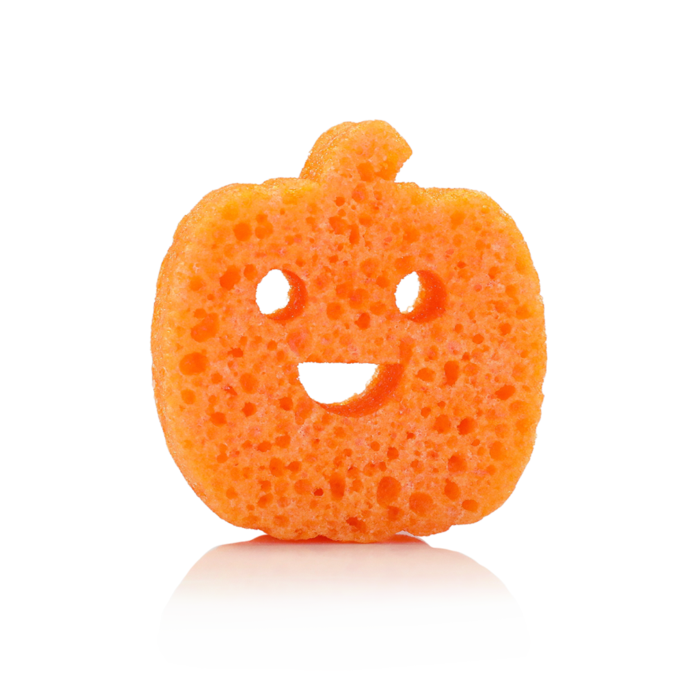 Pumpkin Spice Pumpkin Soap Sponge