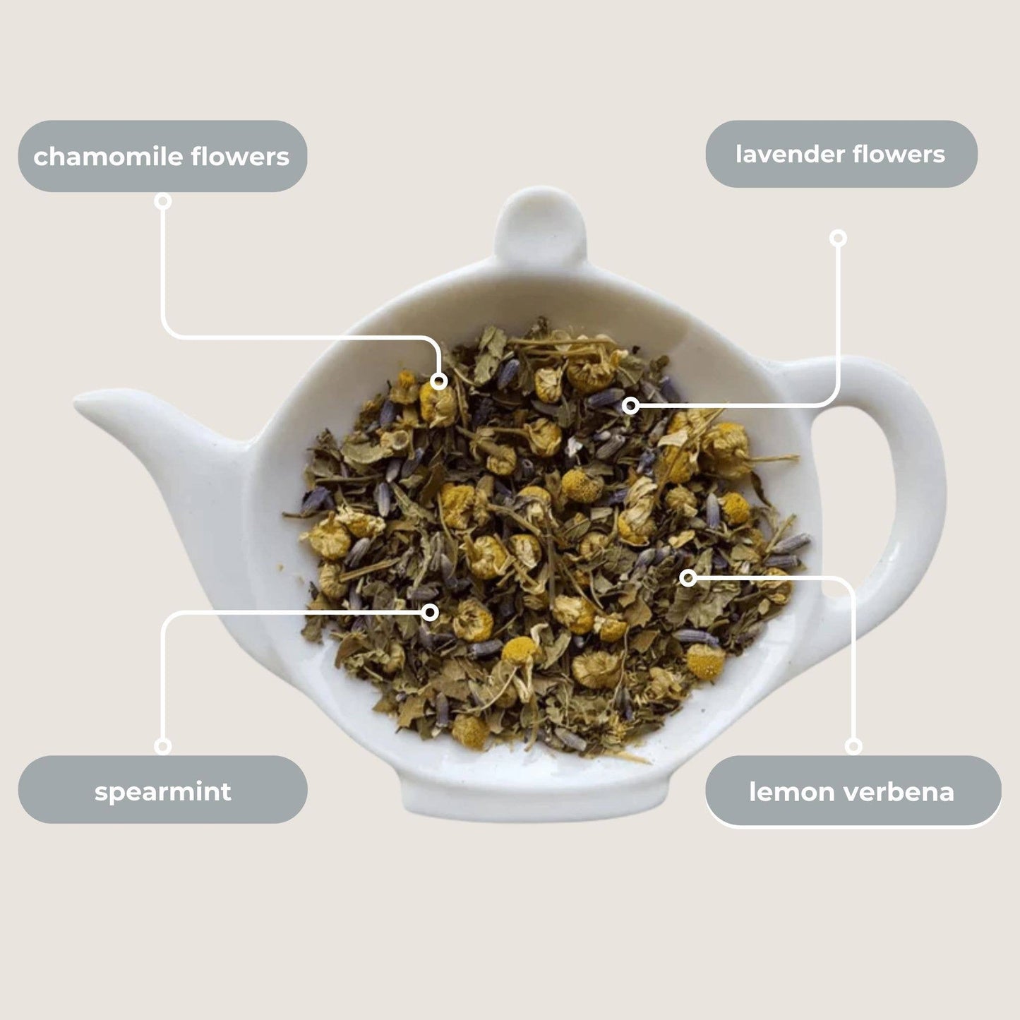 Spa Bliss Herbal Mini Tea Tube (5 tea bags)